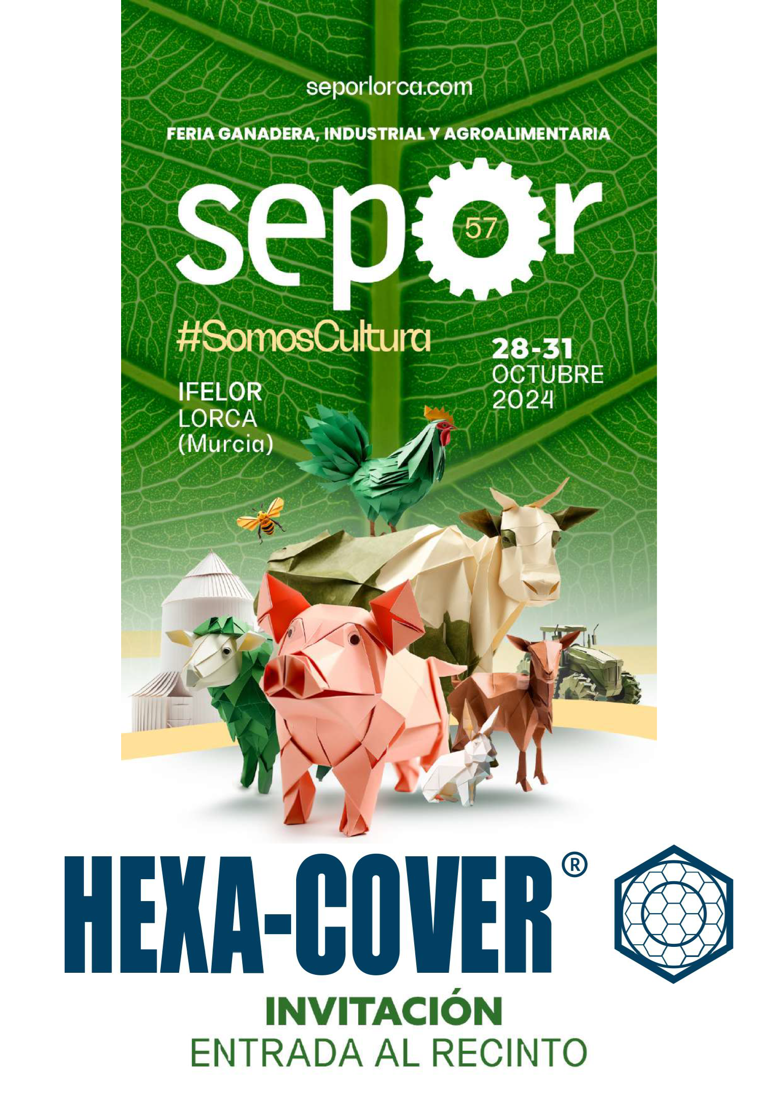 hexa-cover_6401